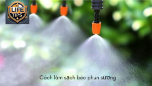 Cách làm sạch béc phun sương bị tắc