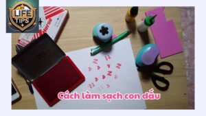 Cách làm sạch con dấu mách bạn cách làm hiệu quả