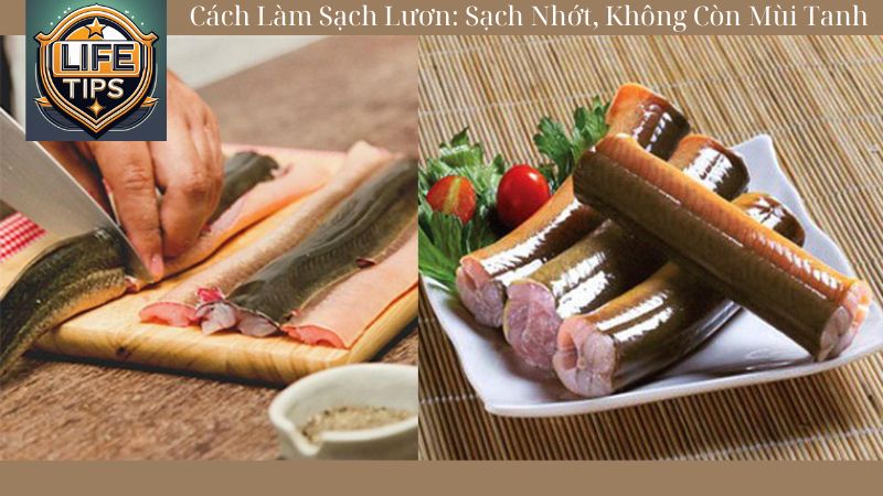 cách làm sạch lươn